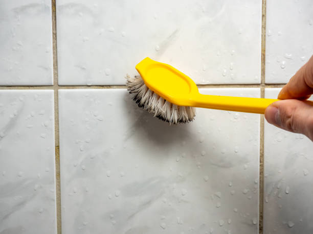 Best Home Mold Removal  in Hemlock, MI