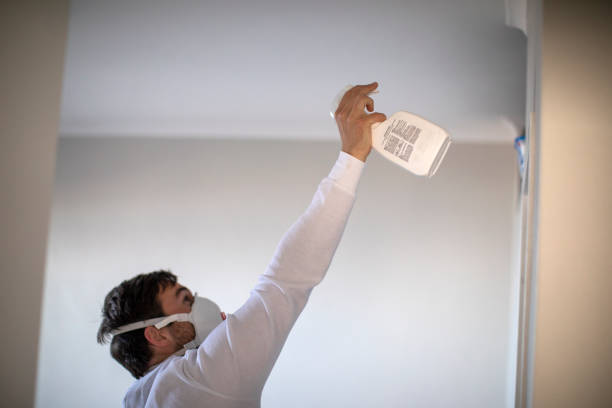 Best Mold Removal Process  in Hemlock, MI