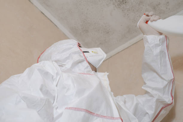 Best Emergency Mold Removal  in Hemlock, MI