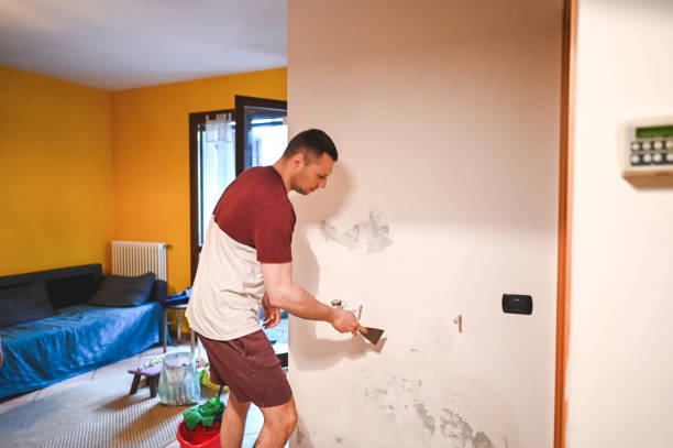  Hemlock, MI Mold Removal Pros